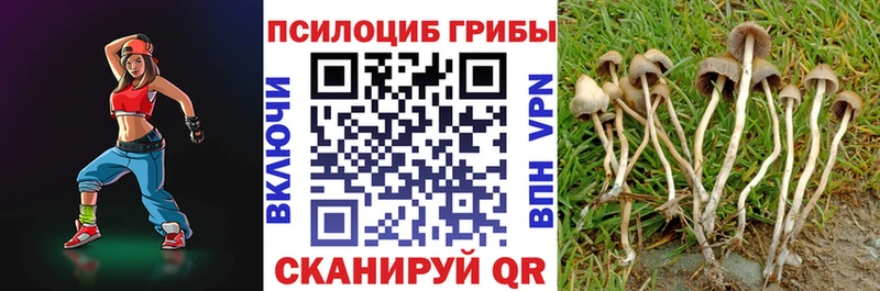 Галлюциногенные грибы Cubensis  Купить  Луга 